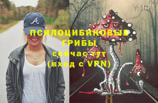 хмурый Зеленодольск