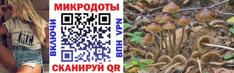 Купить  Вязники  Галлюциногенные грибы MAGIC MUSHROOMS 